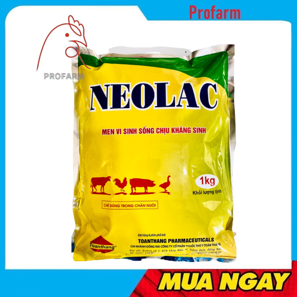 Men neolac gói giúp tiêu hoá tốt giảm tiêu chảy phân khô giảm mùi hôi chuồng trại