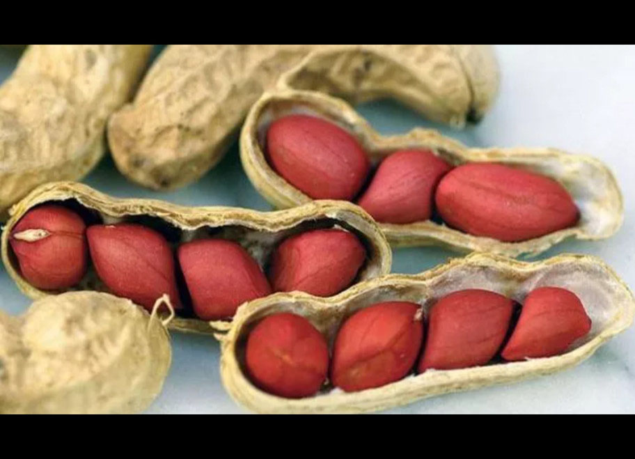 Đậu phộng đỏ ngon-Lạc đỏ chuẩn bắc