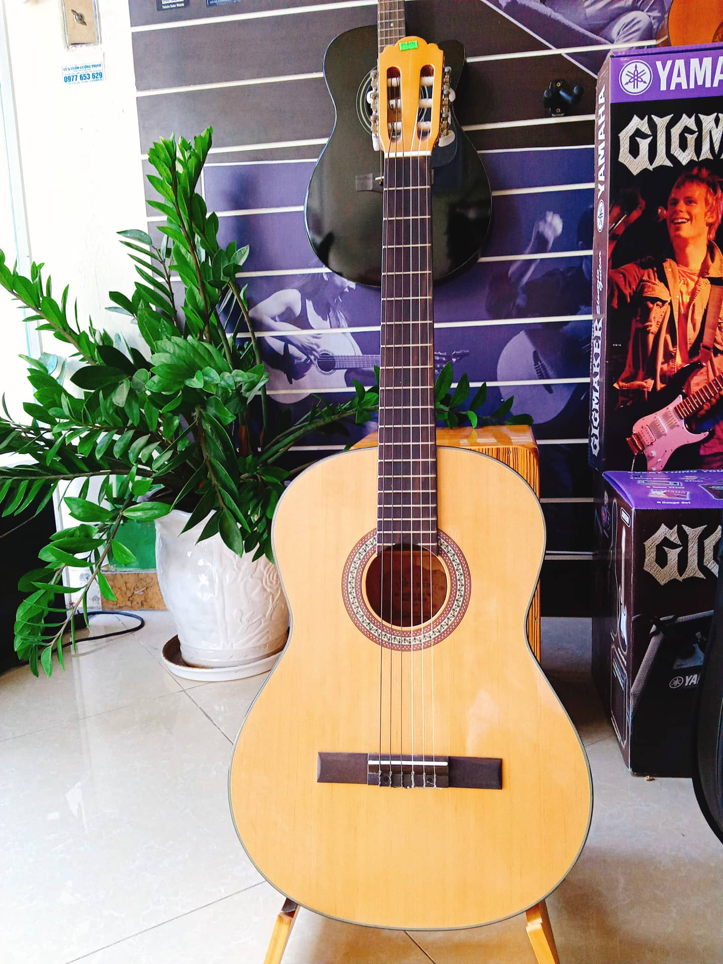 Đàn Guitar Classic REX HGW195 chính hãng - Singapore