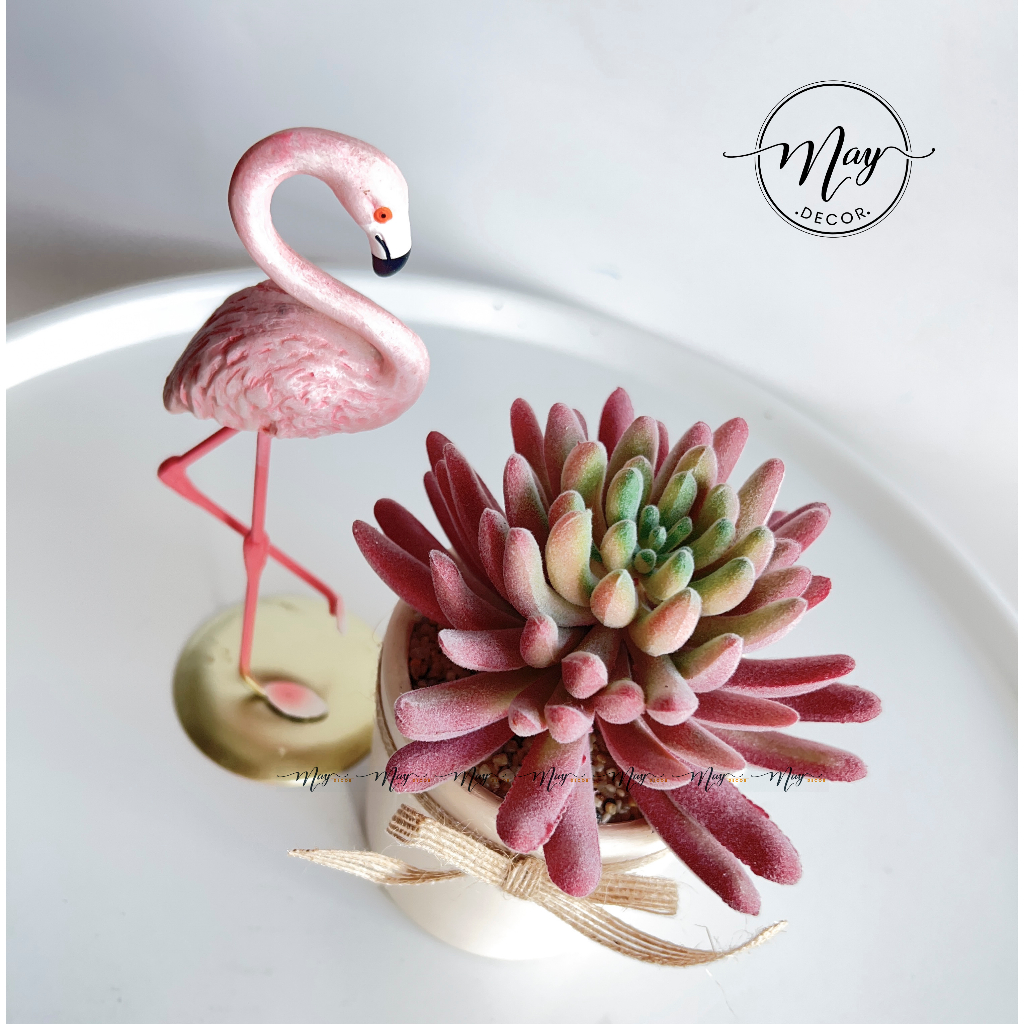 Cây giả, Sen Đá Phấn size to kèm chậu trụ 8