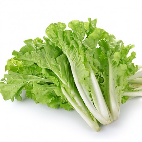 Hạt giống cải bẹ dún VTS129 | Vạn Tín Store