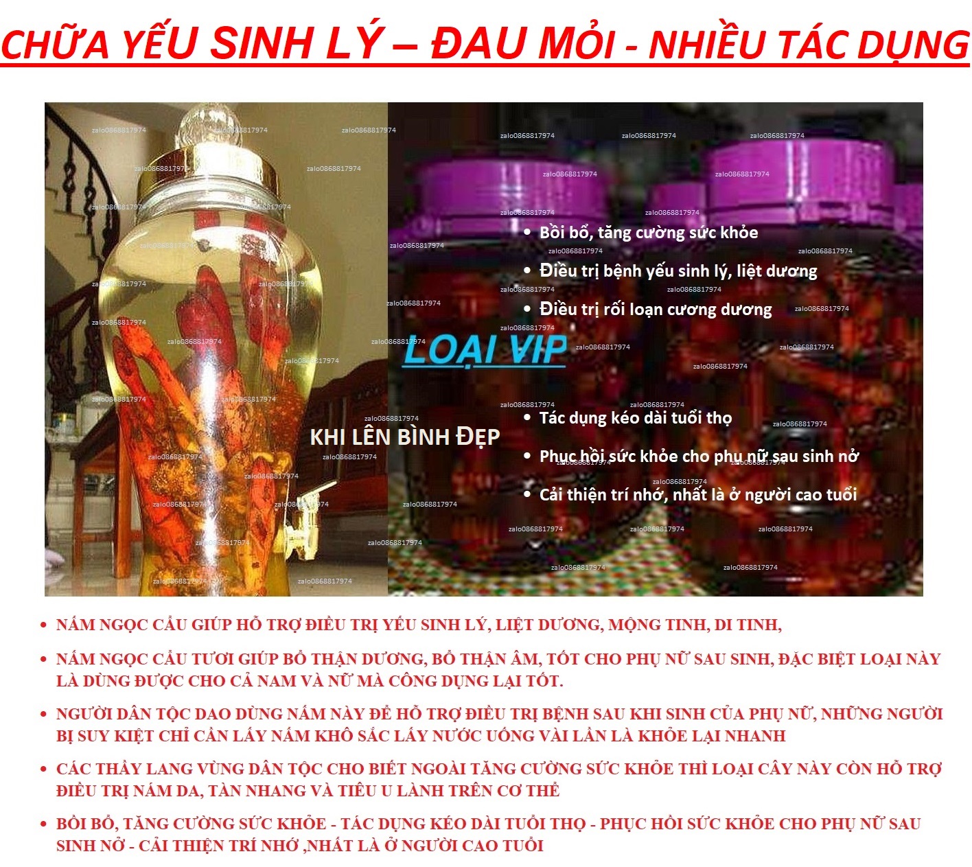 2kg NẤM NGỌC CẨU TUYẾT SƠN+KHẮC PHỤC-SINH_LÍ+BỔ THẬN TRÁNG DƯƠNG+TRÁNG ÂM NAM+NỮ_TĂNG TRÍ-NHỚ-BỒI BỔ-SỨC KHỎE NNCK 1.3