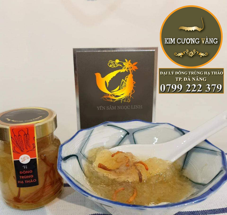 YẾN ĐÔNG TRÙNG HẠ THẢO