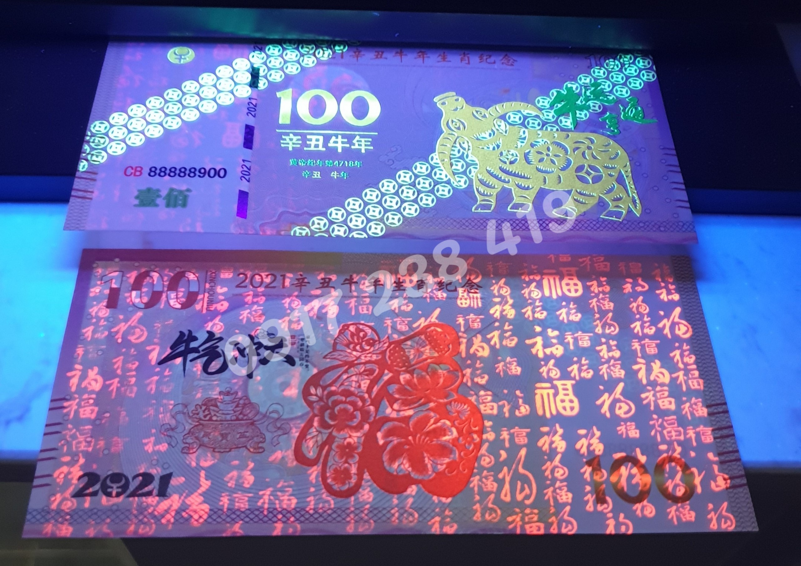 TIỀN MACAO HÌNH CON TRÂU 100 PATASCA