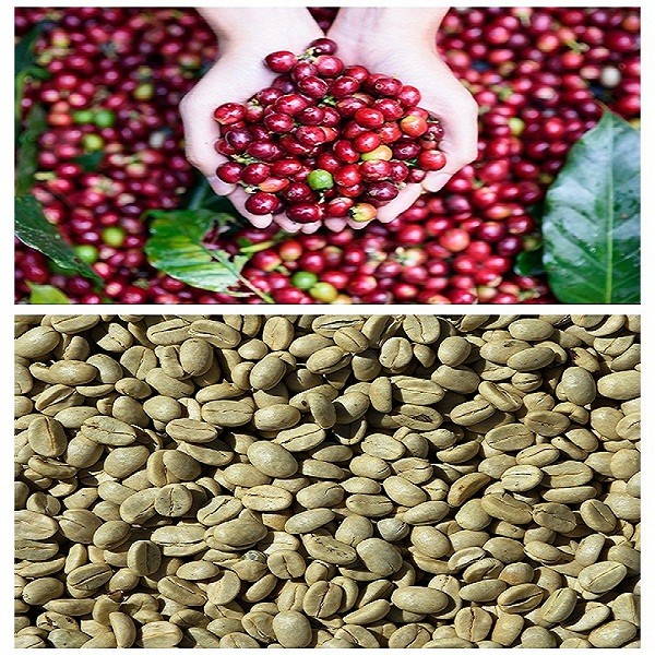 Cà phê rang xay Culi Highlands Coffee 200g