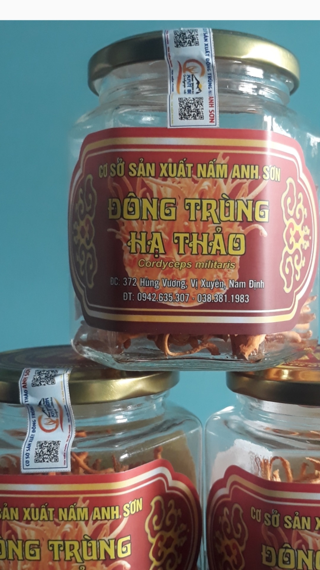 Đông trùng hạ thảo khô ( đóng hộp 10g)