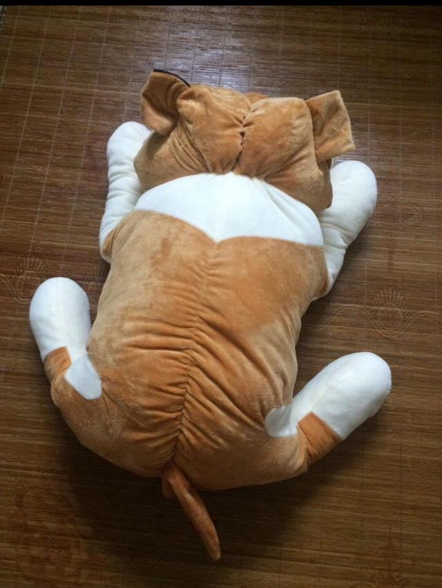 Gâu bông hình chú chó bitpull size 1m cực đẹp