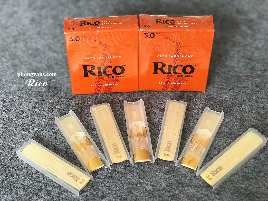 Dăm kèn alto saxophone Rico