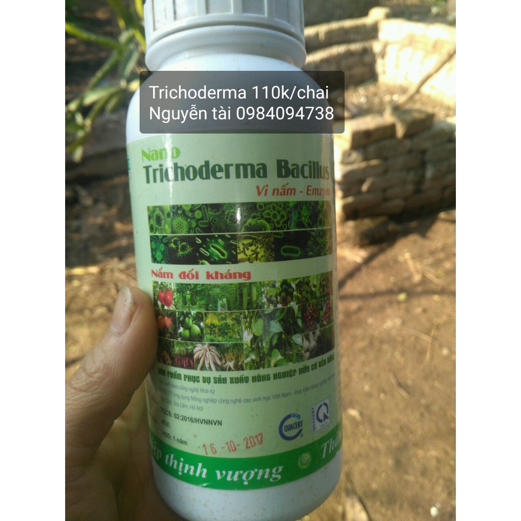 Nấm đối kháng Trichoderma Bacillus (dạng nước) chai 500ml hàng đẹp, phân phối chuyên nghiệp.