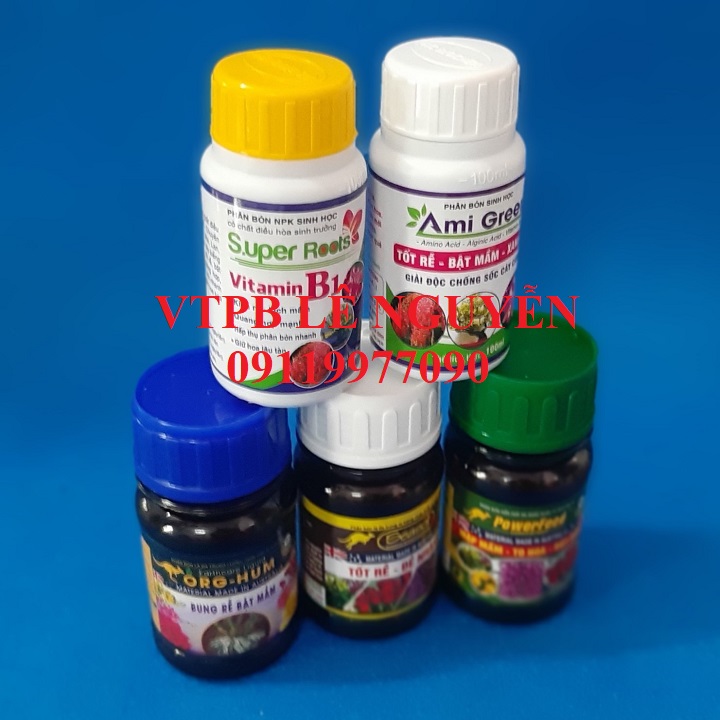 Combo kích rễ, bật mầm cho lan