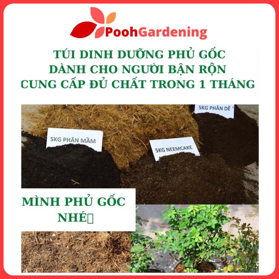 Phân phủ mùa hè pooh gardening cung cấp dinh dưỡng cho cây và giúp cho việc chăm vườn trở nên nhàn hơn.