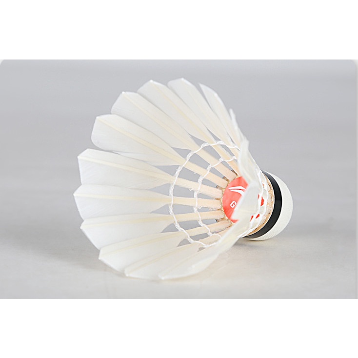 Ống Cầu Lông Chính Hãng LI-NING G100