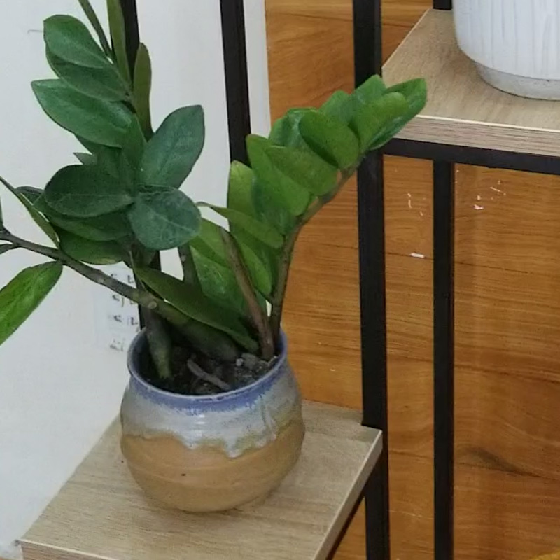 Kệ cây gỗ chân sắt 3 tầng - 4 tầng