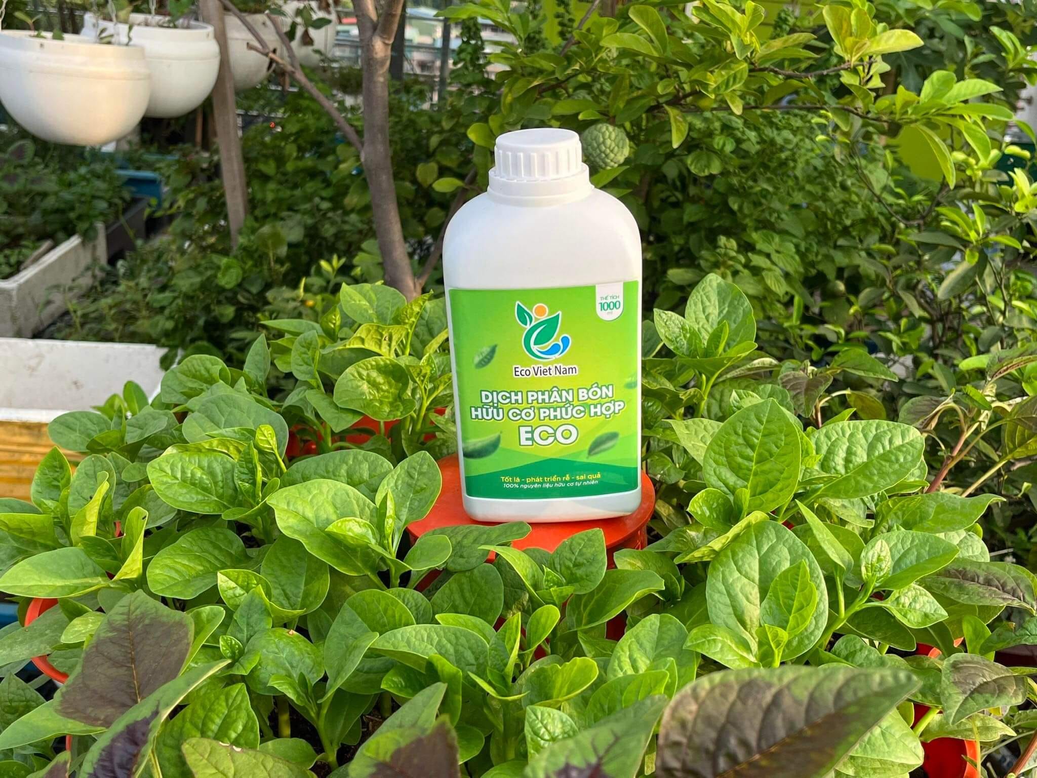 Dịch phân bón hữu cơ phức hợp Eco