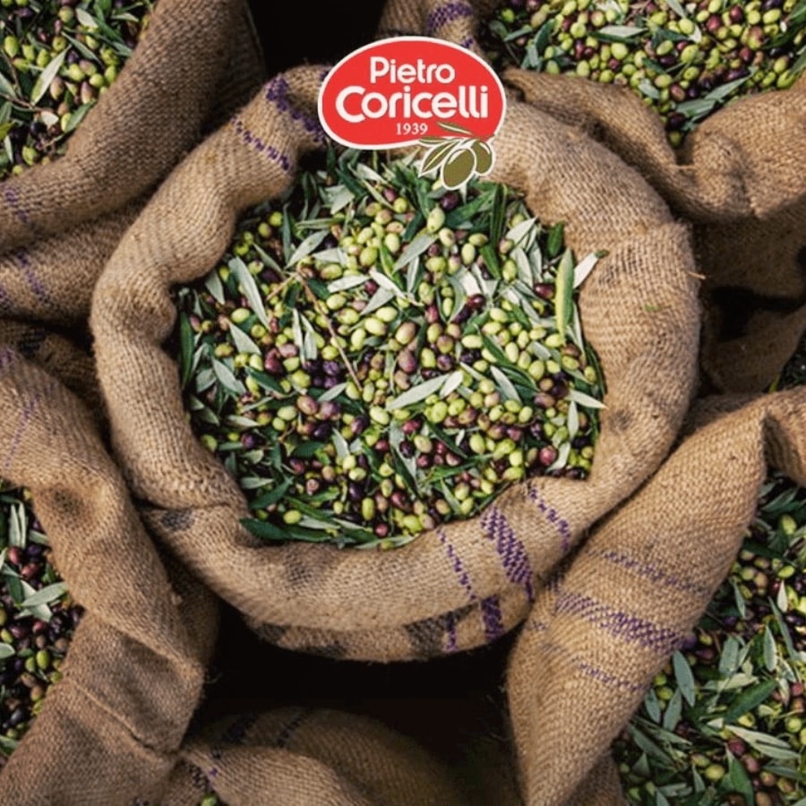 Dầu Ôliu Pietro Coricelli Pomace 1000ml - Ý