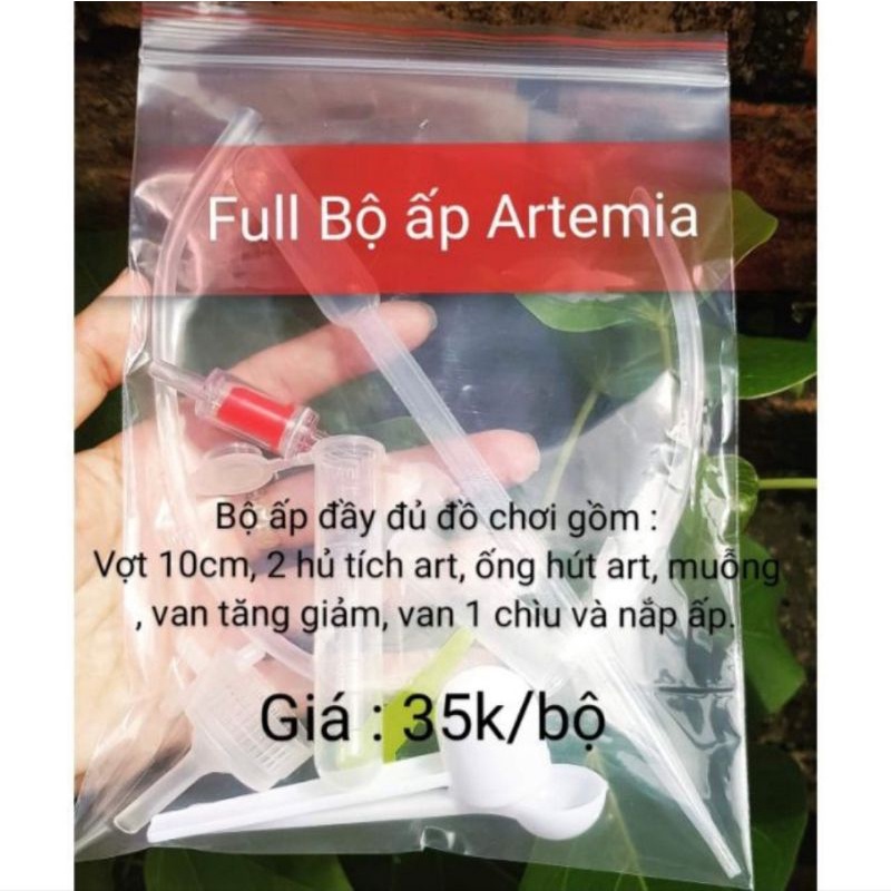 Artemia Mỹ chuyên cho cá con mới nở , betta bột, guppy - Thức ăn cá cảnh