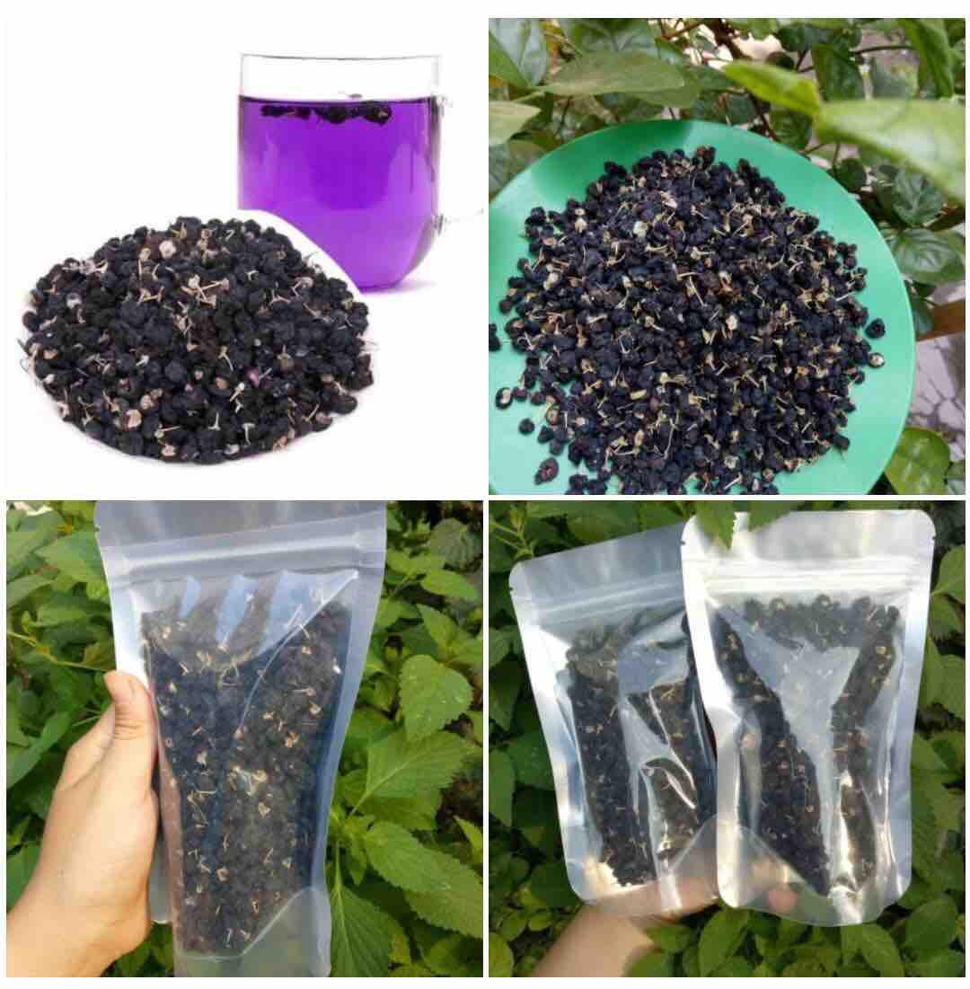 Trà Hắc Kỉ Tử 100g