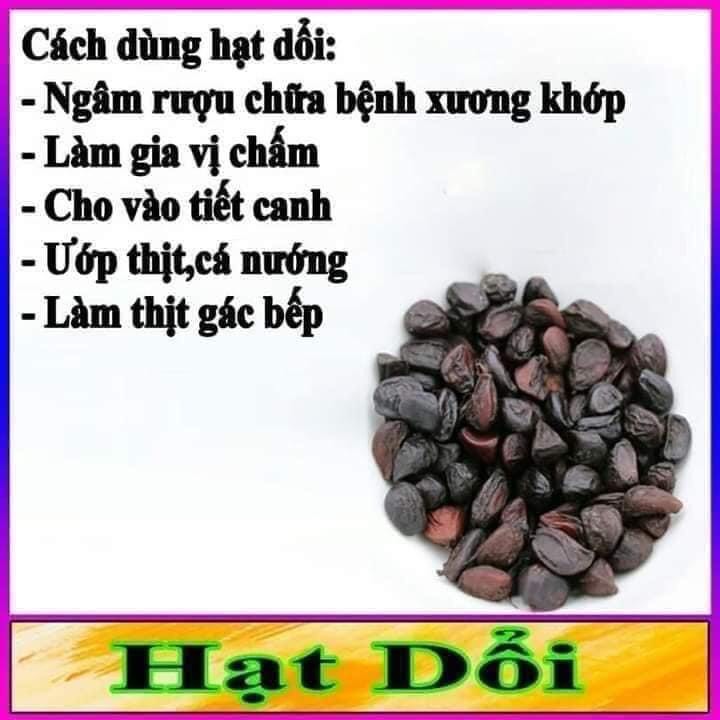 20 Hạt Dổi Rừng Đặc Sản Tây Bắc