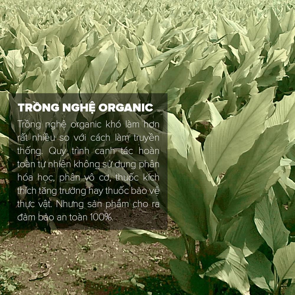 [500GR] Tinh Bột Nghệ Đỏ Toro Nguyên Chất 100% | TORO FARM