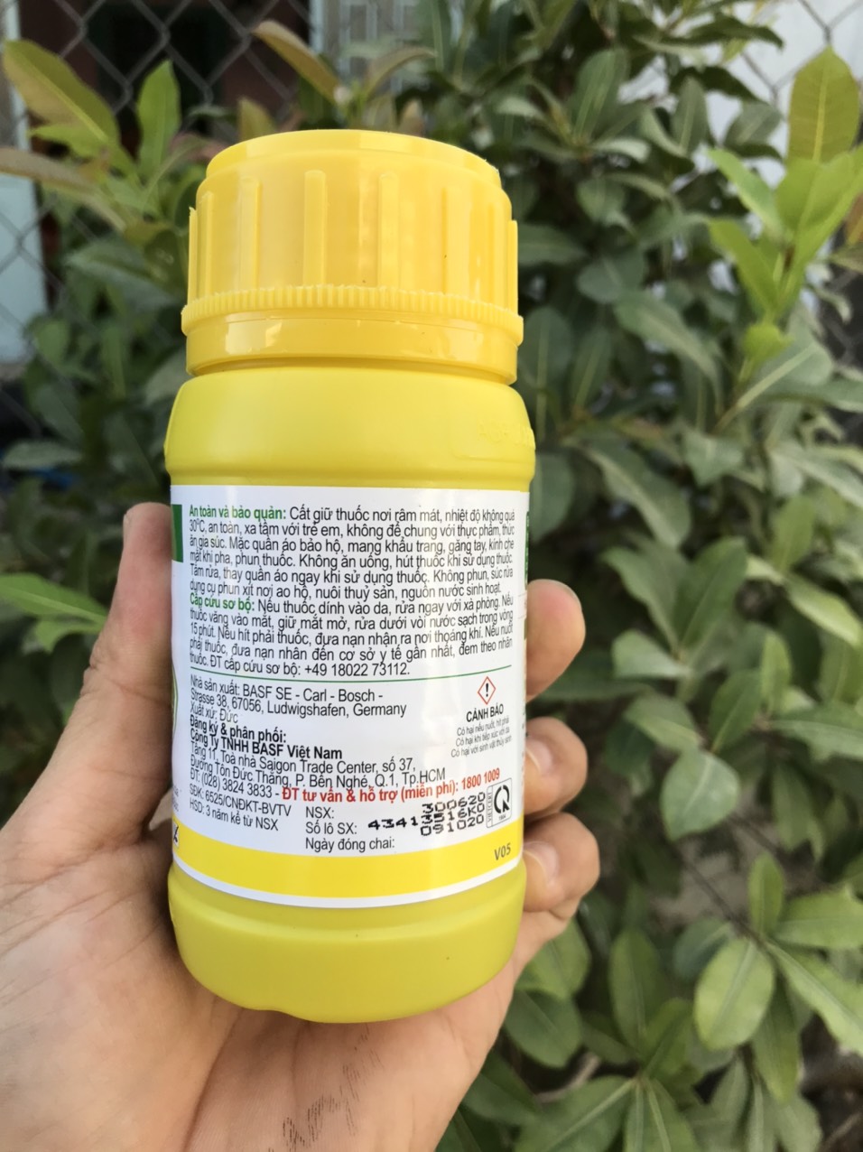 Đặc trừ cỏ cháo chác cỏ lá rộng Basagran 480SL