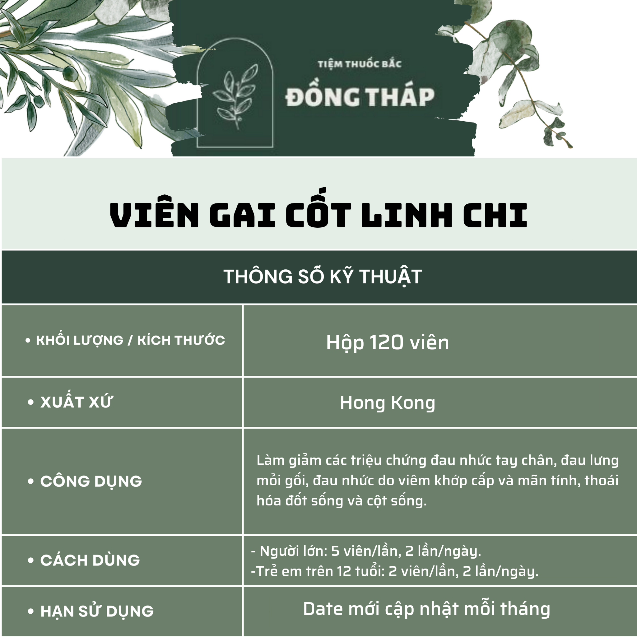 VIÊN GAI CỐT LINH CHI