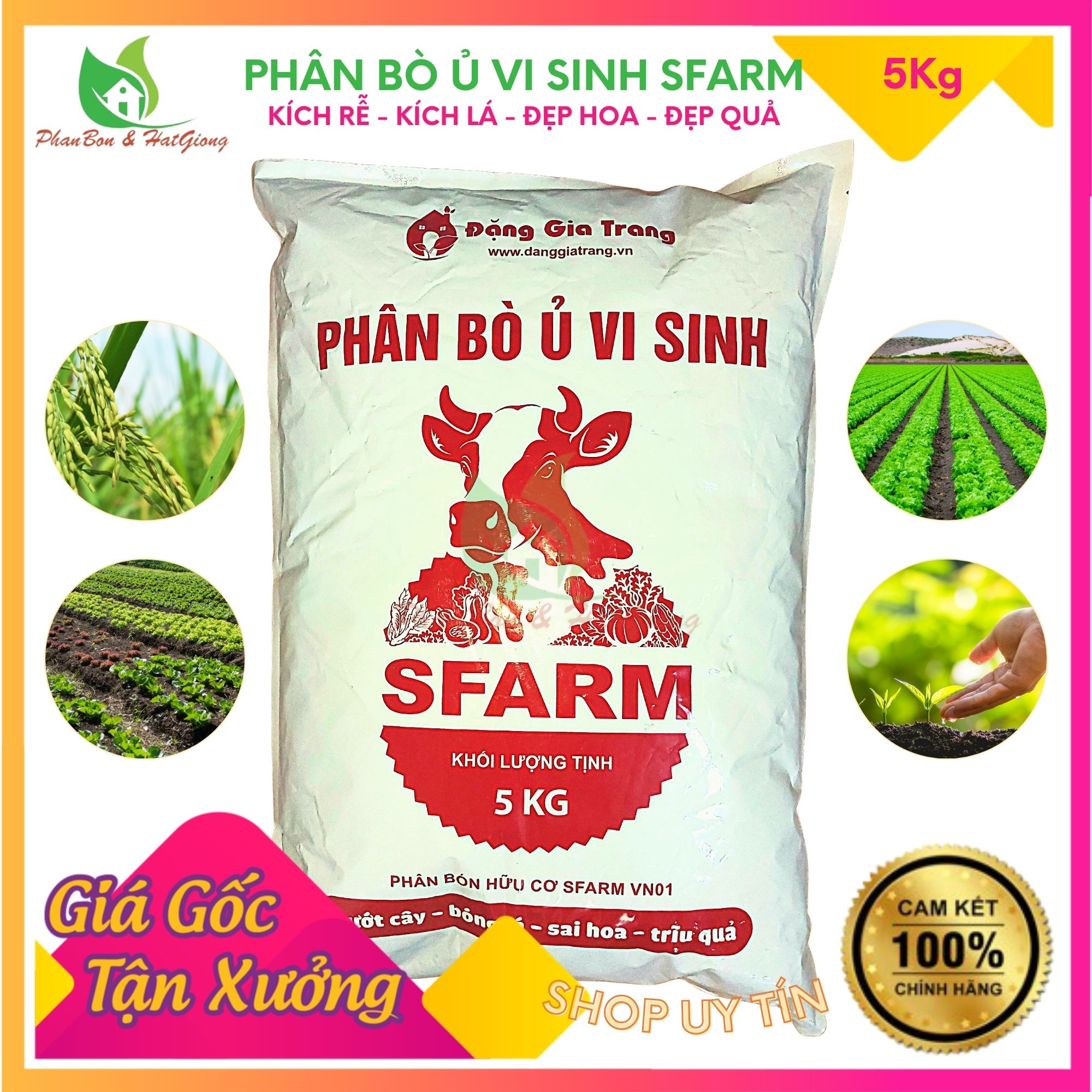 Cow manure Ủ microbiology sfarm has treated-size roots, flower, beautiful flower, đẹp fruit-bag 5kg
