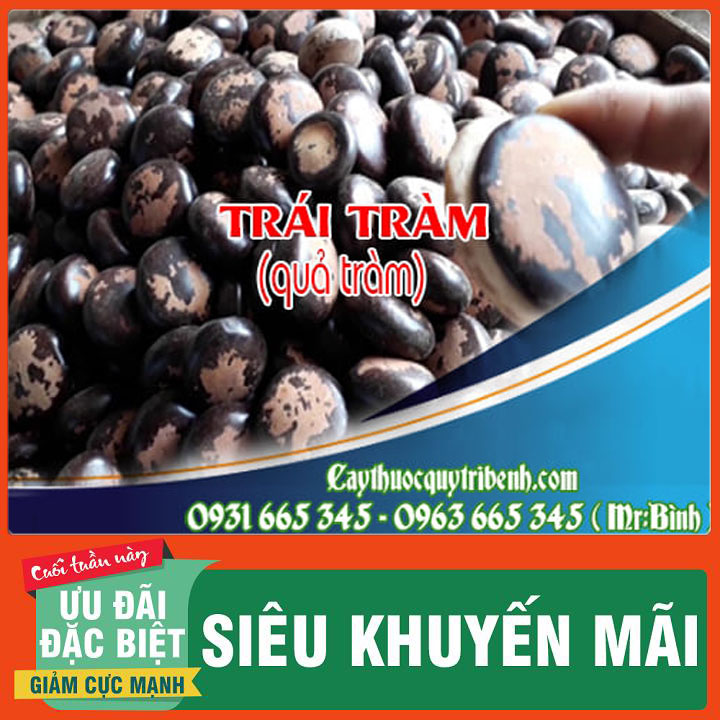 Quả tràm khô 500g hàng cty chất lượng - thảo dược thanh bình