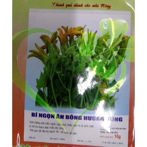 HẠT BÍ NGỌN ĂN BÔNG - GÓI 10 GRAM