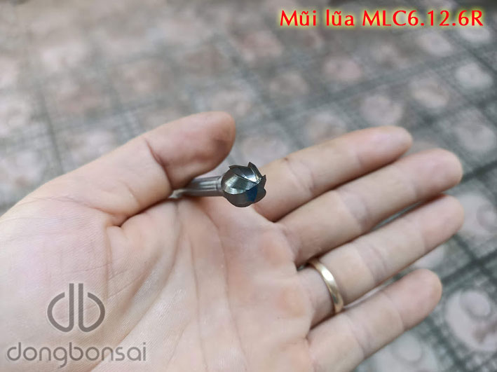 Mũi lũa cầu trục 6li MLC6.12.6R