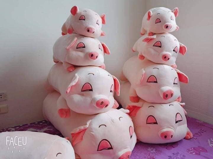 Gấu Bông - Gối Ôm Heo Lim Dim - Lợn Phê Pha Size 35cm