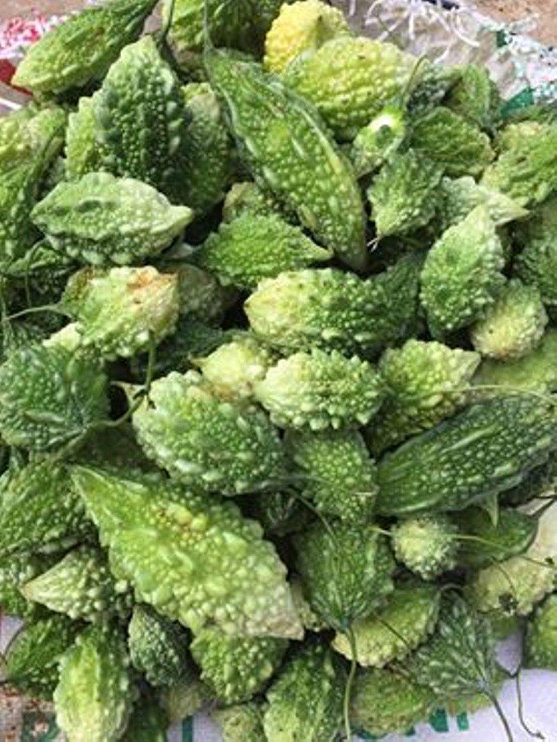 Hạt Giống Khổ Qua Rừng Chọn Lọc Tự Nhiên, Thu Ngọn Thu Trái
