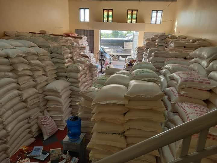 Gạo tám xoan (Đặc sản Hải Hậu Nam Định)
