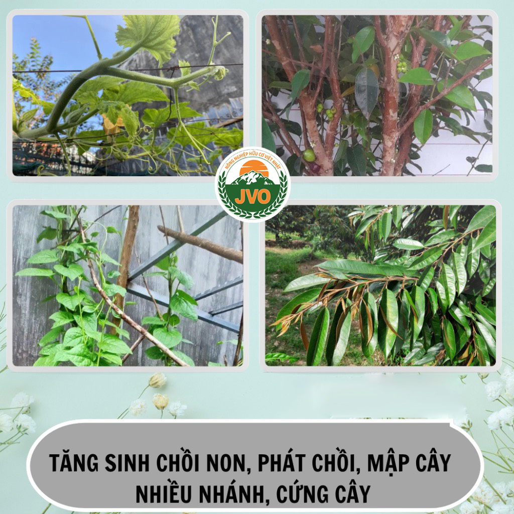 Phân Bón Lá Vi Lượng Combi Đức 30g JVO45 NongNghiepVietNhat