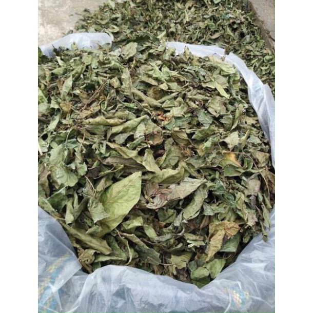 Xạ đen Hoà Bình 0.5kg (cả thân và lá)
