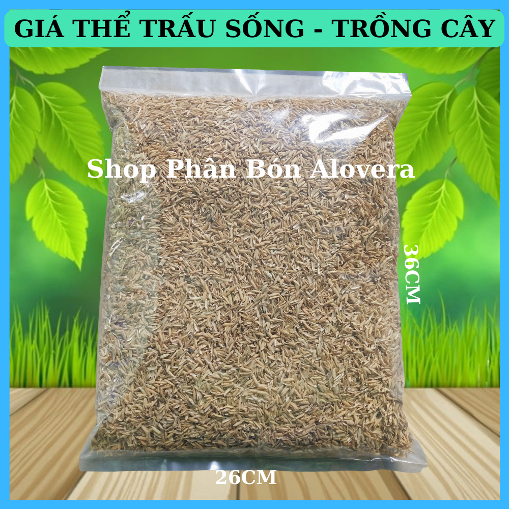 Rice Husk - Rice Husk for Planting