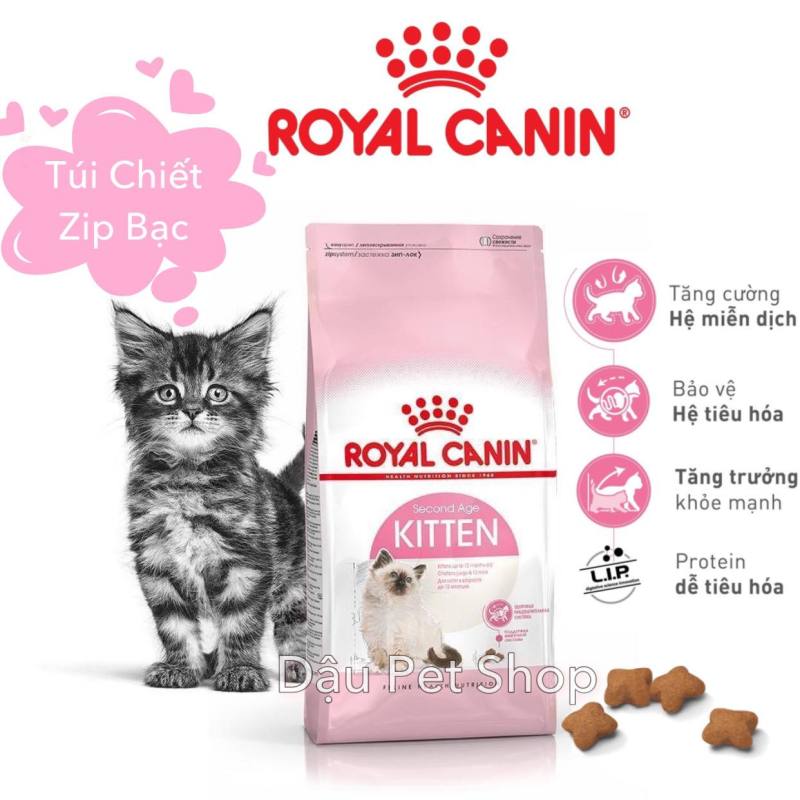 Royal Canin Kitten - Thức ăn hạt cho mèo con túi chiết zip bạc