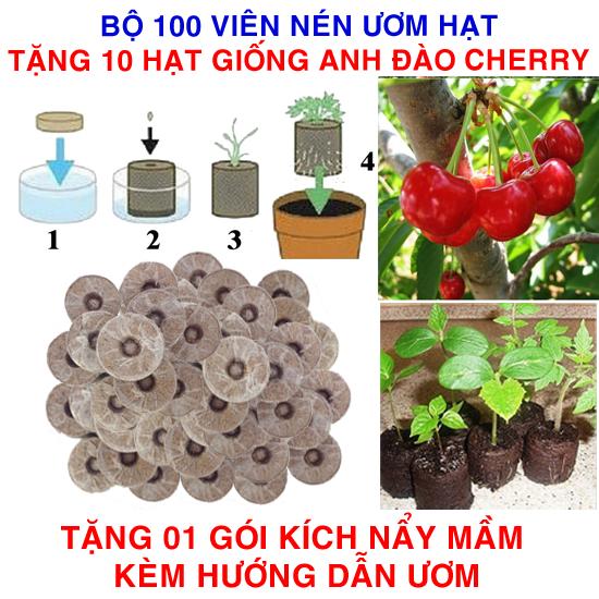 Bộ 100 viên nén ươm hạt (tặng 10 Hạt giống Anh đào (Cherry) + Kích thích nẩy mầm, Hướng dẫn)