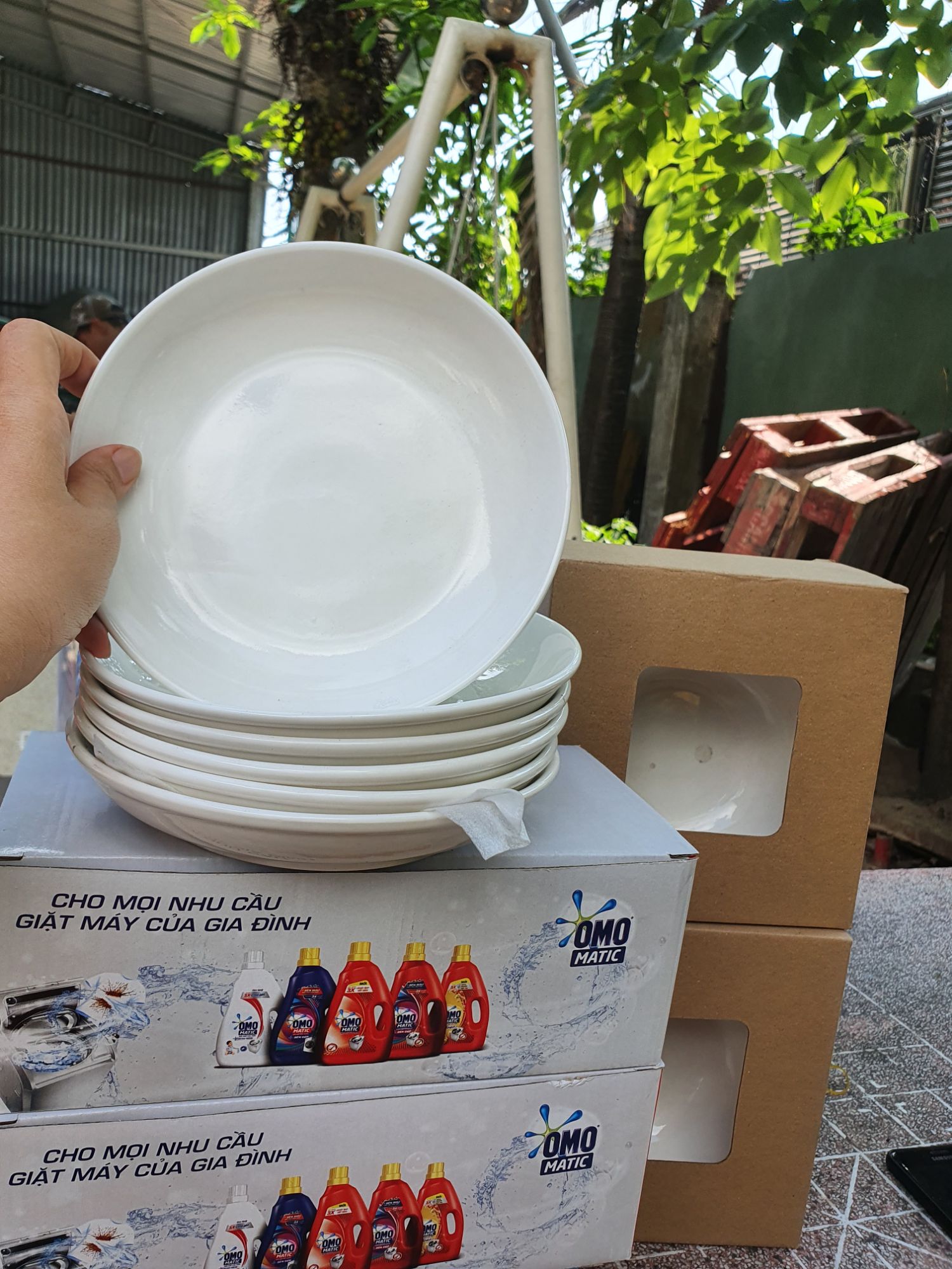 Combo 10 dĩa sứ trắng dày đẹp