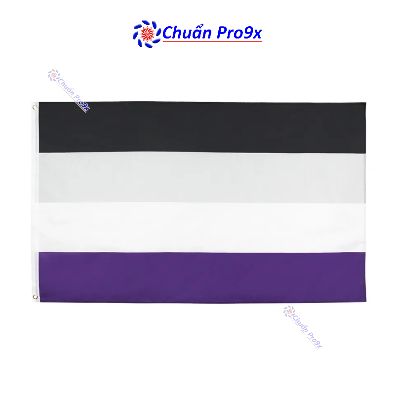 Cờ LGBT Asexual Vô tính phổ Vô tính
