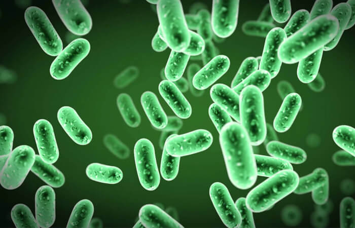 Probiotic - 32 Tỉ lợi khuẩn - Men tiêu hóa