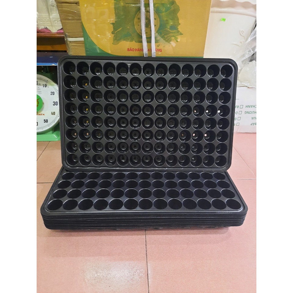 Khay Ươm Hạt Gống 104 lỗ