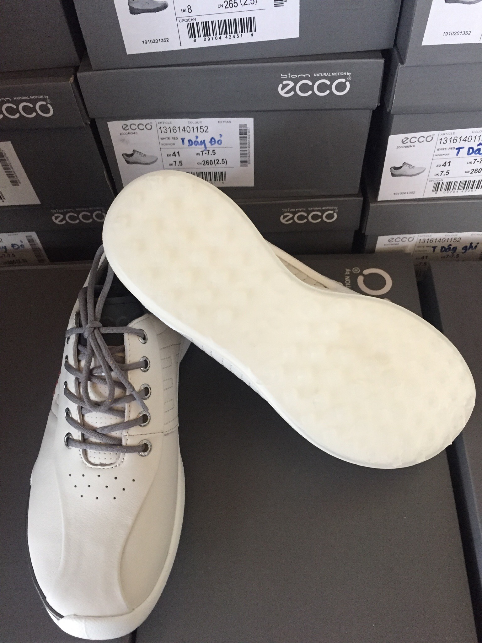 giày chơi golf eco (MEN)