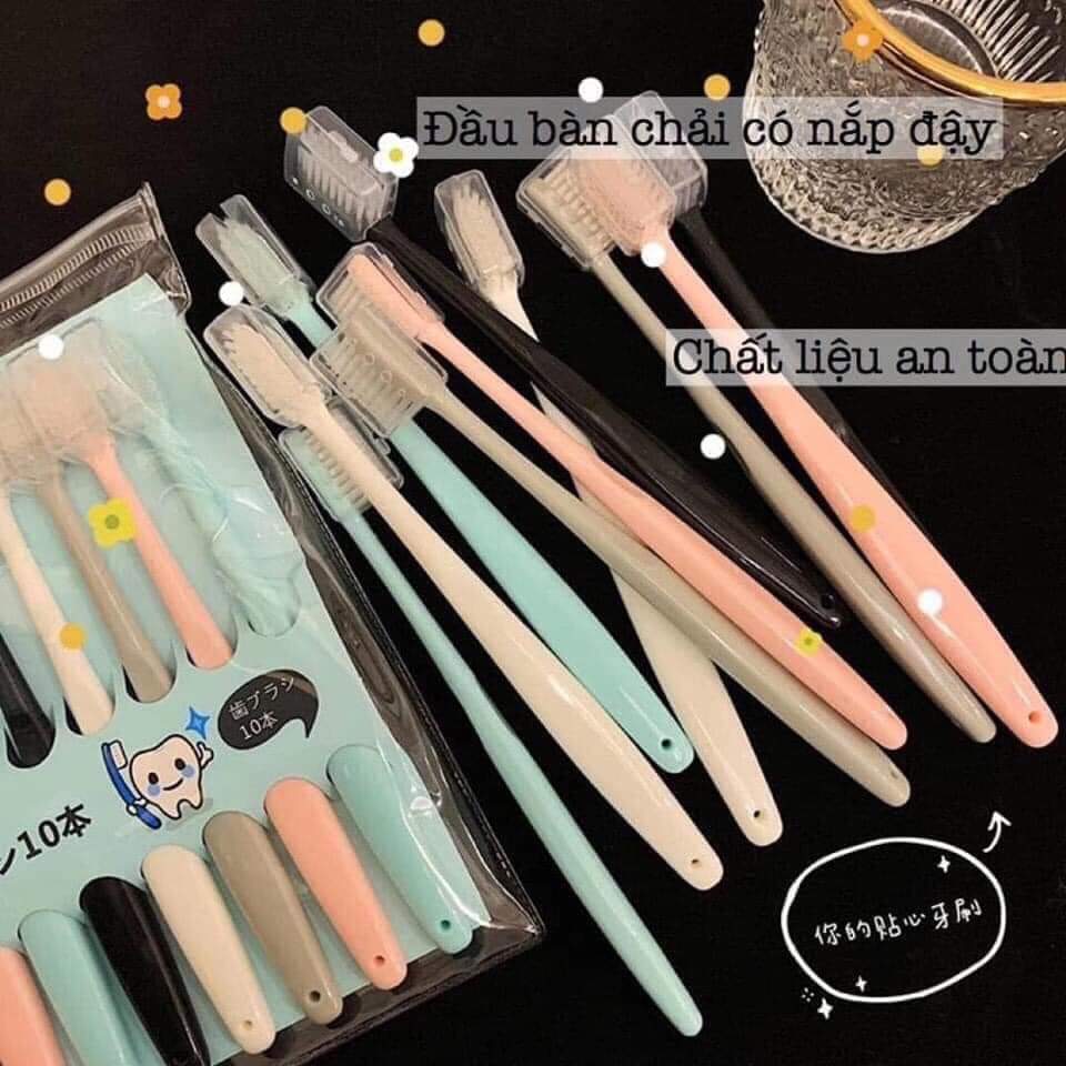 Sét 10 bàn chải xuất nhật túi zip chăm sóc răng miệng hiệu quả