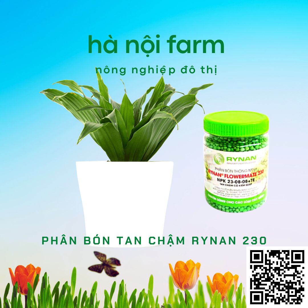 phân bón thông minh, tan chậm rynan 230. hũ 150g