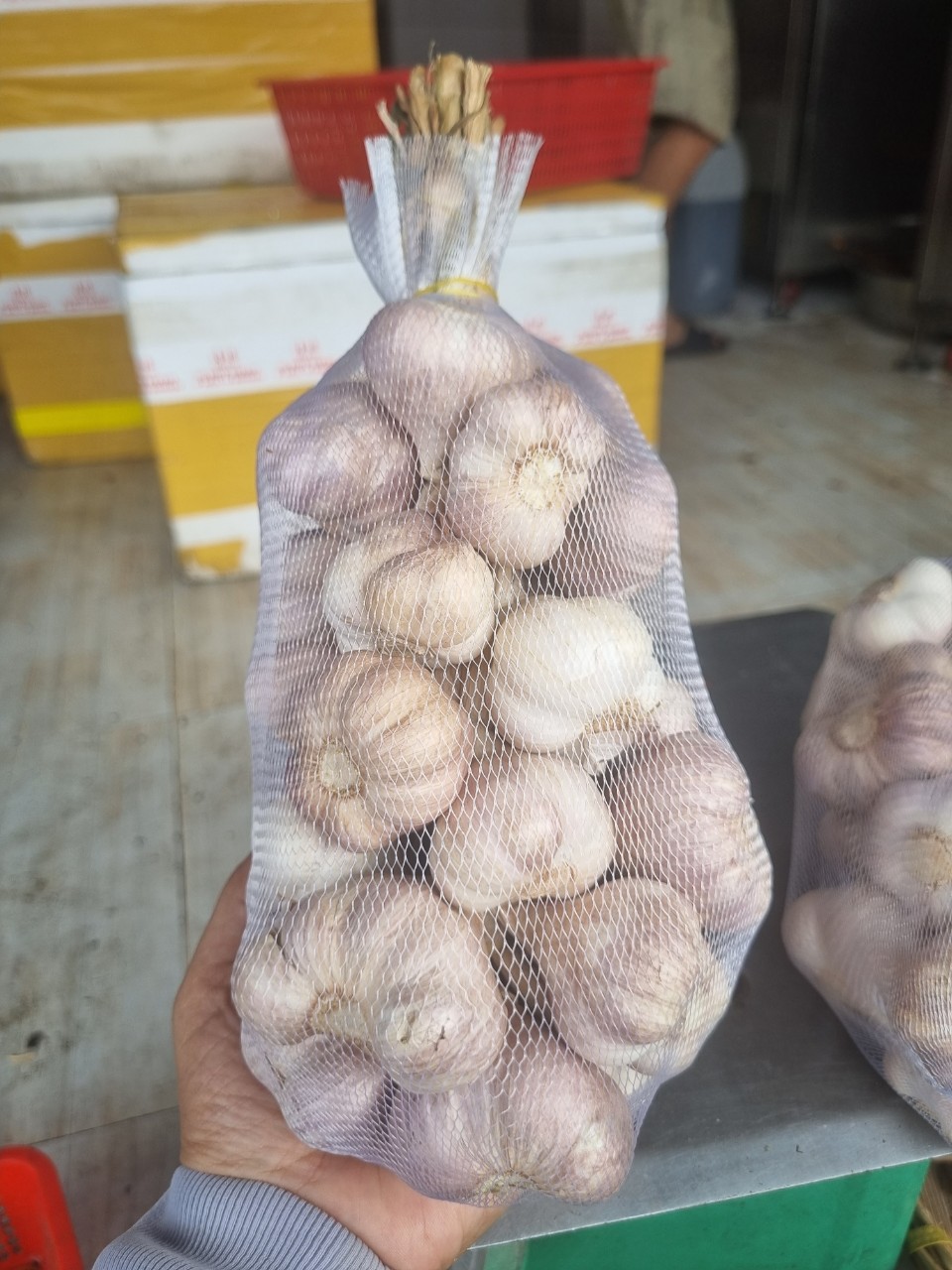 Tỏi Hải Dương
