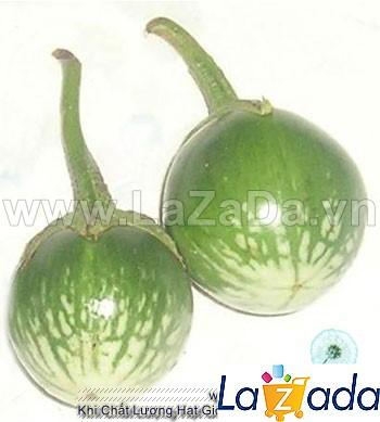 0.5Gr Hạt Giống Cà Pháo Thái Lan (B1.101| B50*X44*M223)