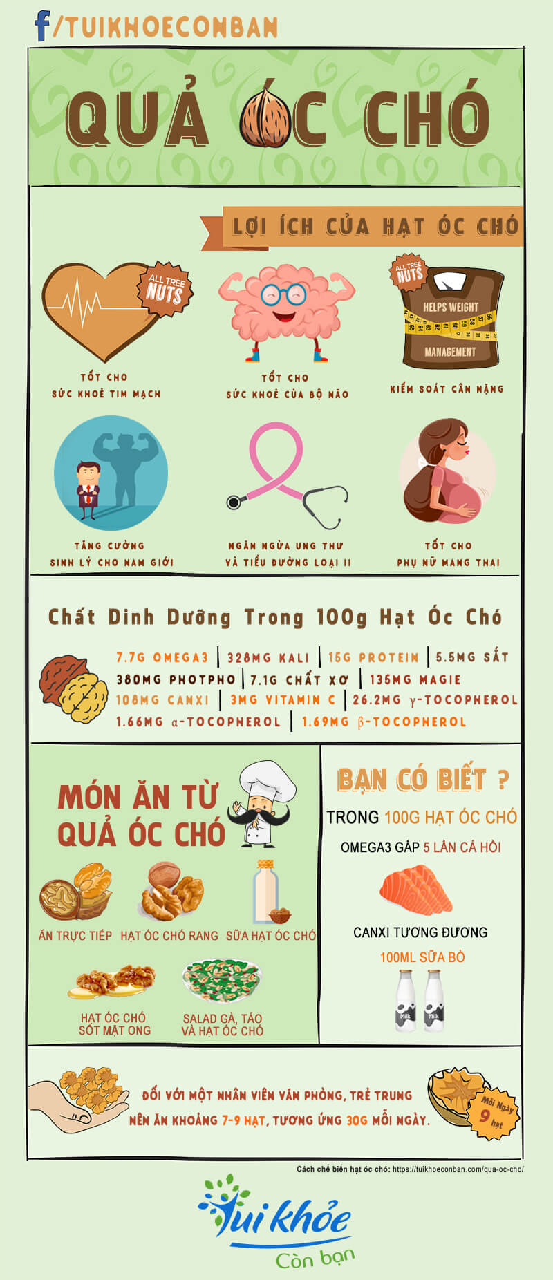 [ TẶNG 25GRAM HẠT CHIA ÚC ] Hạt Óc Chó vàng tách vỏ NK Mỹ - Quả óc chó Mỹ túi 500g - HẠT ÓC CHÓ VÀNG CHANDLER TÁCH VỎ - walnuts