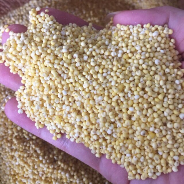 Kê nếp vàng nghệ an 1kg đã bóc vỏ