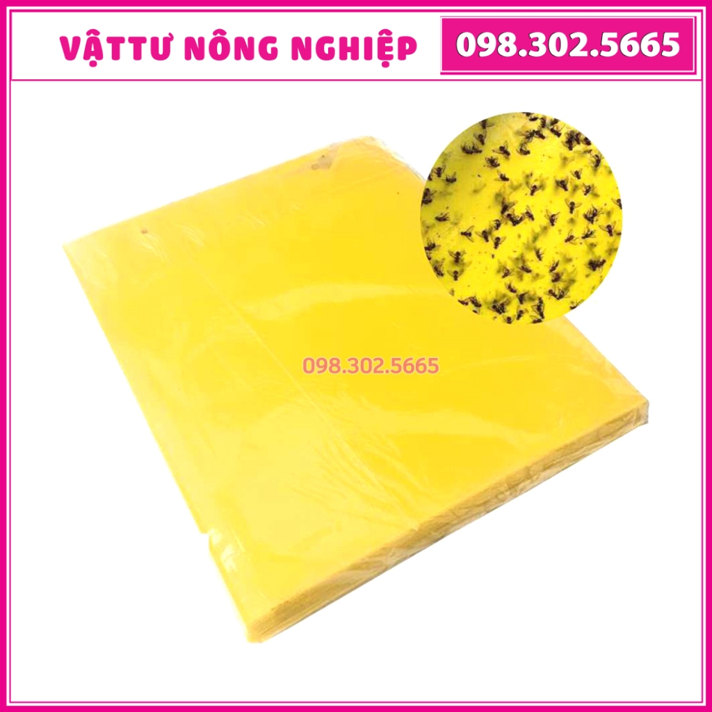 Combo 10 miếng nhựa bẫy dính ruồi vàng và côn trùng - kinh tế, tinh tế, an toàn, hiệu quả