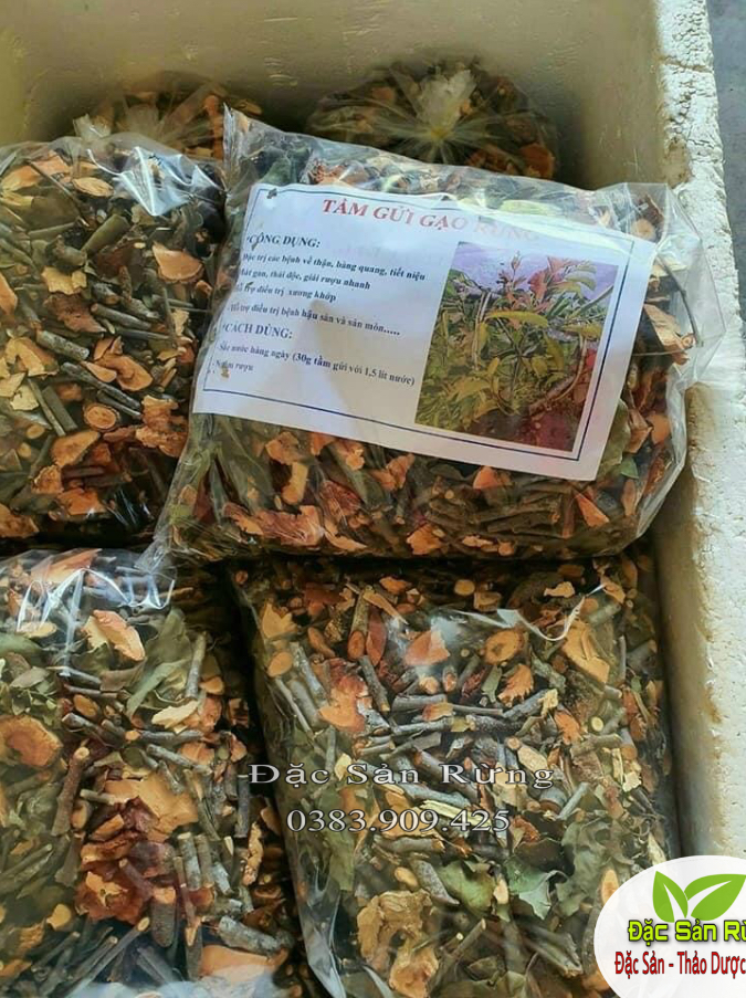 Tầm Gửi Gạo Tía Khô ( túi 500g ) -  Đặc Sản Rừng